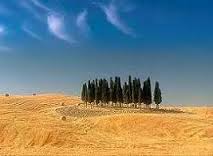 Tuscany2